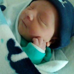 Meet your Posher, Crystal